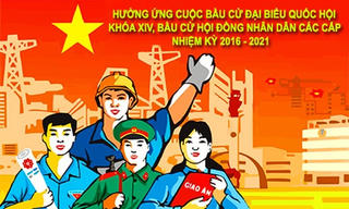 Tổ chức hội nghị cử tri nhận xét, tín nhiệm với người ứng cử  đại biểu Quốc hội