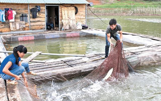 Đổi thay ở một vùng lòng hồ