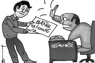 Tấm bằng không có lỗi