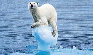 Năm 2100: Nước biển sẽ dâng thêm 1m