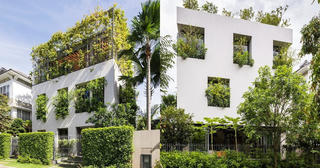 [ẢNH] Căn nhà giống như công viên thu nhỏ với đủ loại cây bên trong ở TP HCM