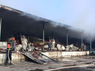 Vựa thanh long bốc cháy trong đêm, 200 tấn quả hỏng hoàn toàn