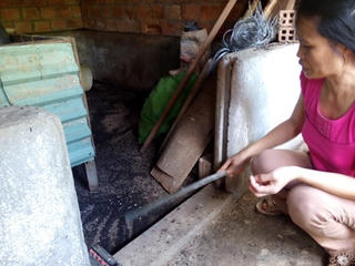Kon Tum: Cuộc sống đảo lộn vì bọ đen xuất hiện