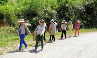 Trà Bồng (Quảng Ngãi): Huy động trên 503 tỷ đồng xây dựng nông thôn mới