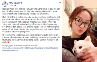 Sao Việt lao đao vì Covid