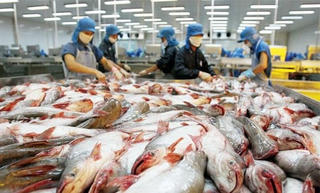 Thượng viện Mỹ hủy Chương trình giám sát cá da trơn