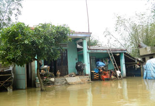 Mưa lớn, lũ dữ hoành hành
