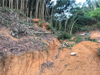 Quảng Nam: Tai nạn thương tâm khiến một phụ nữ tử vong