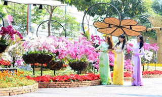 TP. Hồ Chí Minh: Hoa Tết khoe sắc