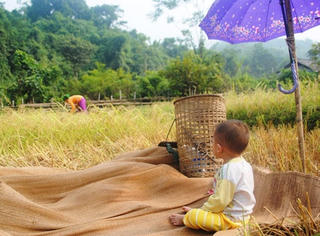 Những giấc mơ trên rẫy