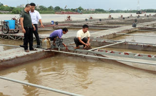 MTTQ huyện Thuận Thành (Bắc Ninh): Chú trọng giám sát vấn đề dân sinh