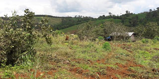 Để mất rừng, Ban cán sự đảng UBND tỉnh Đắk Nông phải bị kỷ luật