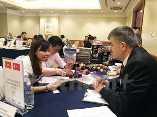 Việt Nam - Thổ Nhĩ Kỳ hướng tới kim ngạch thương mại 3 tỷ USD