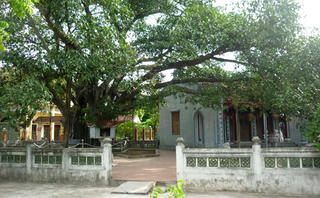 Bên cây đa lịch sử