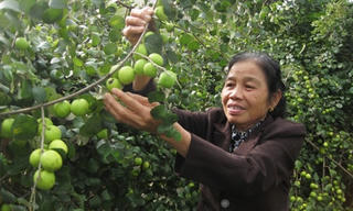 'Bà Mặt trận' gần dân