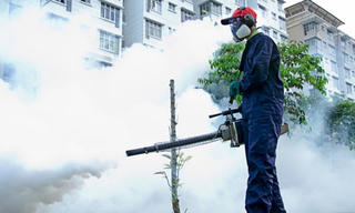 Tăng cường diệt muỗi và bọ gậy