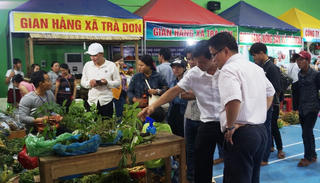 Khai mạc lễ hội Sâm Ngọc Linh lần thứ II