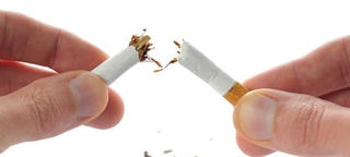 [Infographics] Thuốc lá gây tác hại trên cơ thể con người như thế nào?