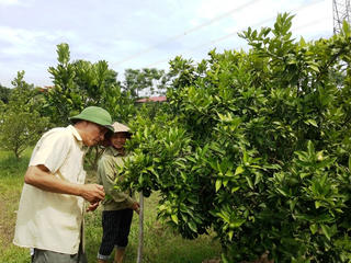 Người cựu binh ép đất cằn nở hoa
