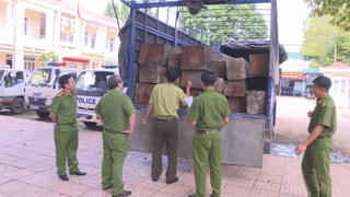 Bắt giữ xe tải chở 31 hộp gỗ lậu