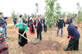 Phát động ‘Tết trồng cây đời đời nhớ ơn Bác Hồ’
