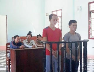 Trộm sâm, hai người đàn ông lãnh án