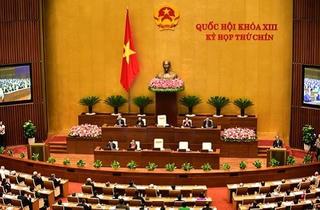 Thông qua Luật Tổ chức Chính phủ, Luật Tổ chức chính quyền địa phương