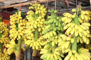 Chuối ngự Đại Hoàng