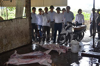 Nhiều điểm giết mổ gia súc, gia cầm nhỏ lẻ trong khu dân cư