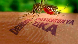 Thêm một người ở TP Hồ Chí Minh nhiễm virus Zika