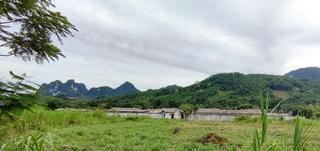 Kiến nghị bỏ quy hoạch dự án xi măng nghìn tỷ