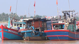 Cửa Đại bị bồi lấp, hàng nghìn tàu thuyền không thể ra khơi