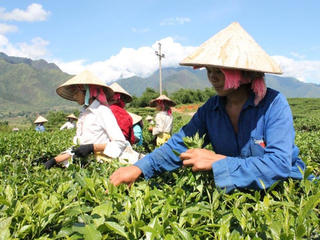 Tín dụng chính sách: Công cụ hỗ trợ trực tiếp cho giảm nghèo