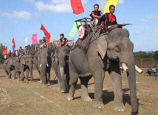 Buôn Đôn sắp mở hội voi