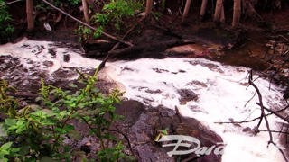 Lò mổ gia súc hủy hoại môi trường