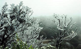 Tình người trong giá rét