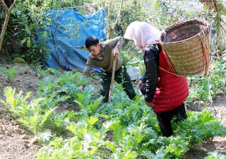 Hiệu quả cai nghiện ở vùng biên giới
