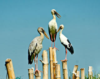 [ẢNH] Vẻ đẹp sông Đầm