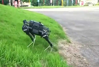 Chó robot kích thước như một con chó thật nặng 22kg