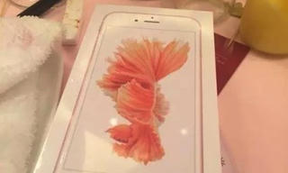 Ăn cưới nhà giàu, khách mời được tặng iPhone