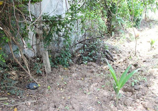 Đằng sau vụ "vu ông Chánh thanh tra lấn ranh đất"