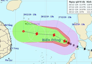 Bão số 8 giật cấp 15, sóng cao tới 9 m, biển động dữ dội