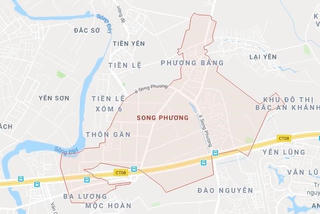 Yêu cầu làm rõ các vi phạm về quản lý đất đai tại xã Song Phương