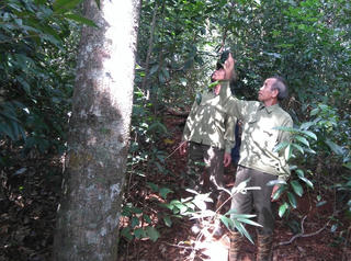 Áp lực nghề giữ rừng