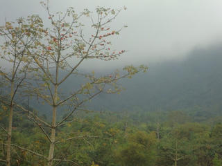 Vào bản người Dao