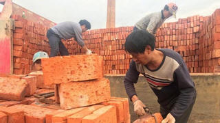 Công nhân Trung Quốc không ngờ được trả 29 vạn viên gạch