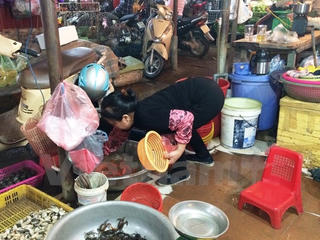 Náo nhiệt chợ ngày ông Công, ông Táo: Cá chép đỏ 'lên ngôi'