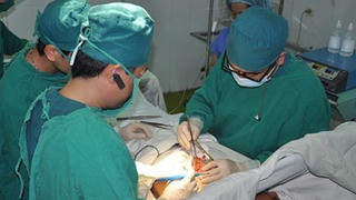 Ung thư vú: Sàng lọc sớm, chữa khỏi bệnh kịp thời