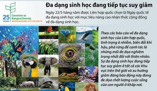 [Infographics] Cảnh báo đa dạng sinh học đang tiếp tục suy giảm