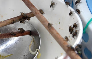 Bất an vì môi trường sống bị ô nhiễm